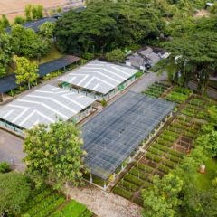 Bukit Asam Menuju Perusahaan Energi Kelas Dunia yang Peduli Lingkungan