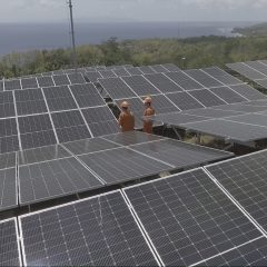 PLN Indonesia Power Kebut Pembangunan PLTS 500 MW dari Proyek Hijaunesia