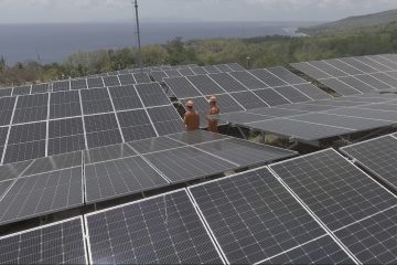 PLN Indonesia Power Kebut Pembangunan PLTS 500 MW dari Proyek Hijaunesia