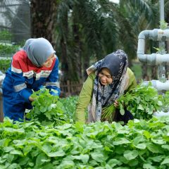 Pertagas Sabet 5 Penghargaan CSR dan Pengembangan Desa Berkelanjutan Award 2024