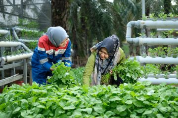 Pertagas Sabet 5 Penghargaan CSR dan Pengembangan Desa Berkelanjutan Award 2024