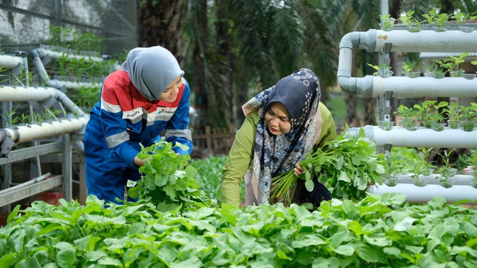 Pertagas Sabet 5 Penghargaan CSR dan Pengembangan Desa Berkelanjutan Award 2024
