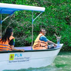 Budidaya Mangrove Rintisan PLN Indonesia Power Buat Ekonomi Bergeliat