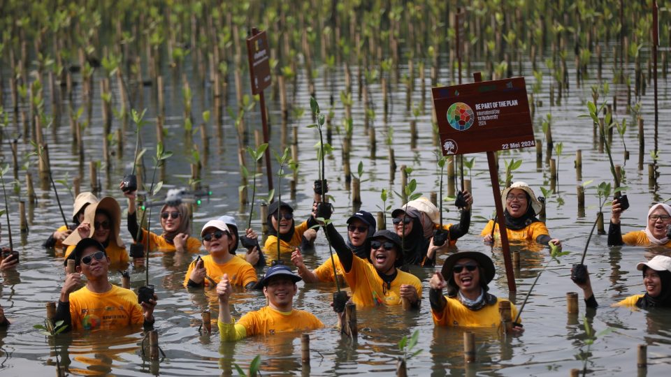 Komitmen Lingkungan dan Pertumbuhan Ekonomi ABM Grup Tanam 600 Bibit Pohon