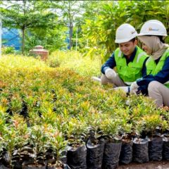 Laba Bersih Kuartal I 2024 PTBA Rp 790,9 Miliar