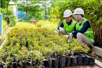 Laba Bersih Kuartal I 2024 PTBA Rp 790,9 Miliar