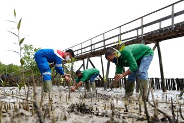 Permata Hijau Pesisir, Jurus KPI Atasi Perubahan Iklim dan Dukung Dekarbonisasi Indonesia
