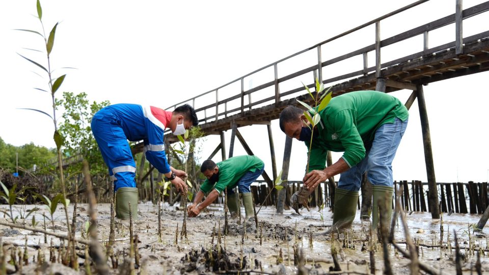 Permata Hijau Pesisir, Jurus KPI Atasi Perubahan Iklim dan Dukung Dekarbonisasi Indonesia