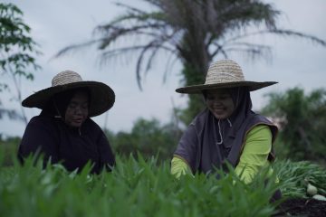 KPI Dorong Sinergi Pertanian Holtikultura dan Pengelolaan Lahan Gambut