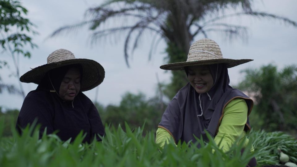 KPI Dorong Sinergi Pertanian Holtikultura dan Pengelolaan Lahan Gambut