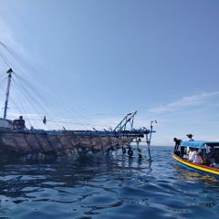 Pertamina International Shipping Turun Tangan Saat Raksasa Laut Terancam di Jalur Kapal