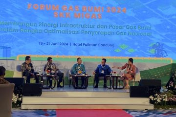 Harga dan Koordinasi Lintas Sektor Jadi Ganjalan Komersialisasi Gas Bumi