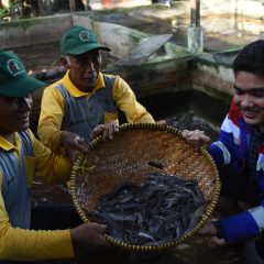 Kisah Warga Pesisir Tanjung Palas, Sejahtera Tanpa Perlu Melaut