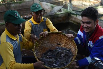 Kisah Warga Pesisir Tanjung Palas, Sejahtera Tanpa Perlu Melaut
