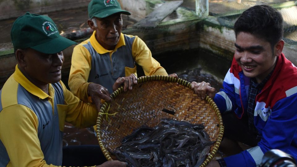 Kisah Warga Pesisir Tanjung Palas, Sejahtera Tanpa Perlu Melaut