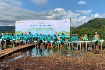 Agincourt Telah Pendam 90 Ribu Mangrove di Lahan 29 Hektare