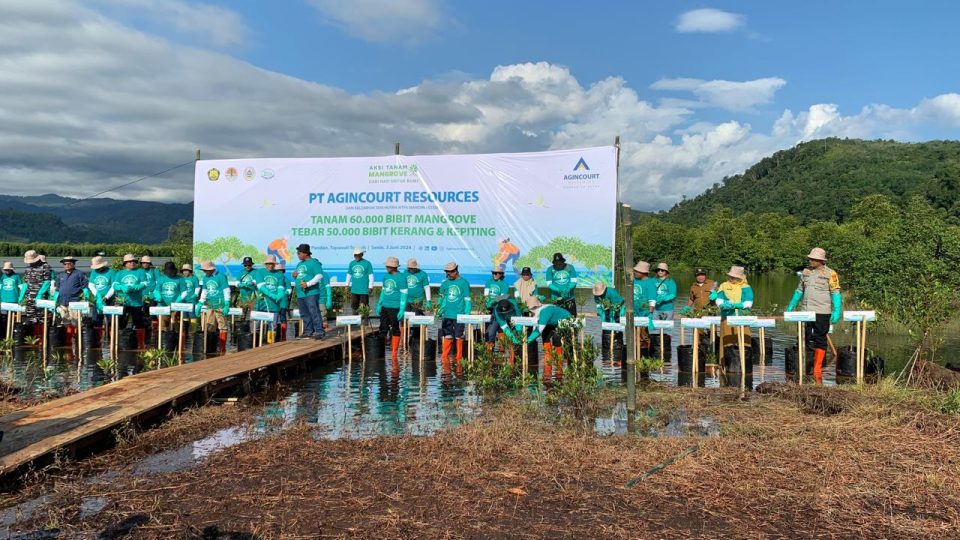 Agincourt Telah Pendam 90 Ribu Mangrove di Lahan 29 Hektare