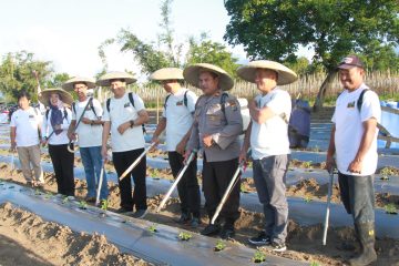 Kolaborasi PGE dan FT UGM Ciptakan Terobosan Pupuk dan Booster Cair Geothermal Katrili