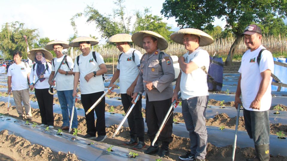 Kolaborasi PGE dan FT UGM Ciptakan Terobosan Pupuk dan Booster Cair Geothermal Katrili