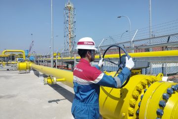 Kementerian ESDM Jamin Pasokan Gas Pupuk 