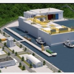 Two Strategic Issues for Nuclear Energy Development in Indonesia