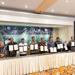 Harita Nickel Kolaborasi dengan Kemenko Marves Dukung Rehabilitasi Lahan Mangrove