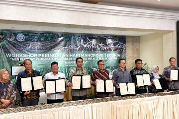 Harita Nickel Kolaborasi dengan Kemenko Marves Dukung Rehabilitasi Lahan Mangrove