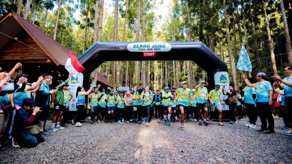 PLN Indonesia Power Ikut Jaga Kelestarian Lingkungan dan Populasi Elang Jawa