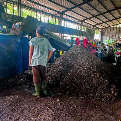 PLN EPI Gandeng Pemda Banyumas Olah Sampah Jadi Biomassa Cofiring PLTU