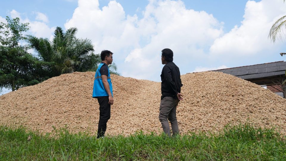 PLN EPI Bakal Genjot Biomassa untuk Co-Firing PLTU