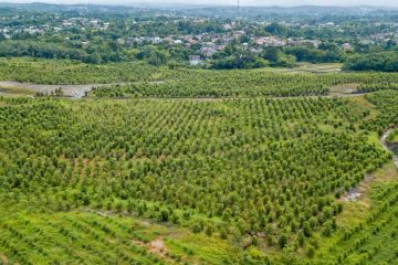 Ini Upaya Grup MIND ID Jaga Biodiversity di Wilayah Tambang