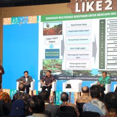 KLHK Siapkan Standar Penghitungan Pengurangan Emisi dari HTI