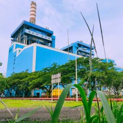 PLN IP Gunakan Green Ammonia di PLTU Labuan