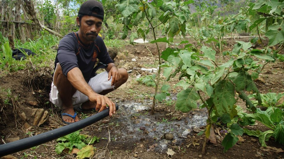 PIS Bangun Sistem Irigasi Bertenaga  Matahari di Cagar Biosfer Komodo