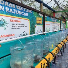 Mamaku Berdayakan Mantan ABK dan Pekerja Migran