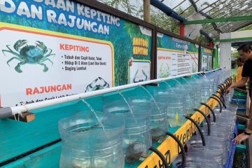 Mamaku Berdayakan Mantan ABK dan Pekerja Migran