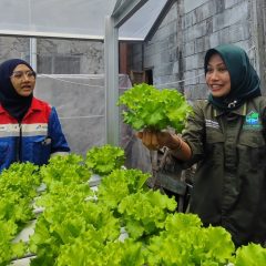 Kilang Balikpapan Gunakan Rain Water Harvesting untuk Hidroponik