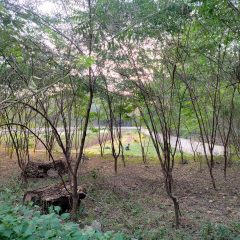 Desa di Gunung Kidul Siap Panen Energi Bersih