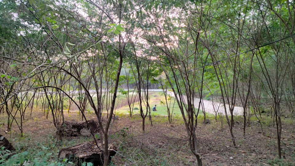 Desa di Gunung Kidul Siap Panen Energi Bersih