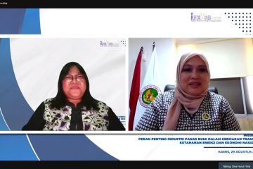 Pengembangan Panas Bumi Indonesia Lambat, Butuh Intervensi Kebijakan dan Dukungan Investasi