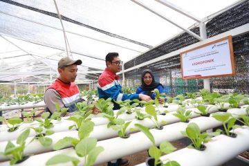 Mitra Binaan PHE Jambi Merang Olah Limbah Cair Domestik untuk Atasi Kekeringan dan Cegah Kebakaran Hutan