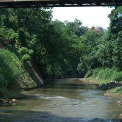 PIS Inisiasi Festival Ciliwung SH IML Ajak Masyarakat Lestarikan Sungai