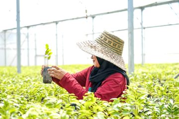 Pemerintah Gandeng Adaro Hijaukan Indonesia Melalui Persemaian Liang Anggang