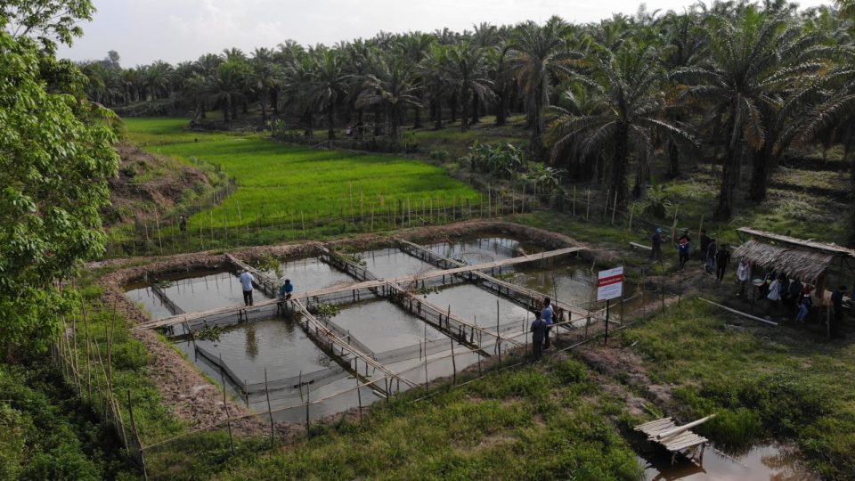 Pertamina Gas Ciptakan Solusi Berkelanjutan untuk Akses Air Bersih di Sidomulyo