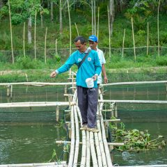 Program CSR Pertamina Gas Diganjar Penghargaan Asian Impacts Awards 2024