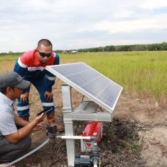Program Pertanian Tahan Iklim Sukses Tingkatkan Ketahanan Pangan dan Berdayakan Perempuan dan Petani di PALI