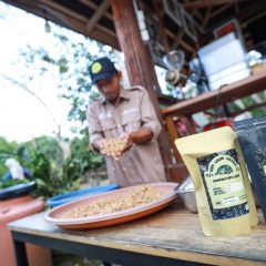 Eduwisata Kopi Luwak Dukung Perekonomian  Lokal dan Konservasi di Marangkayu