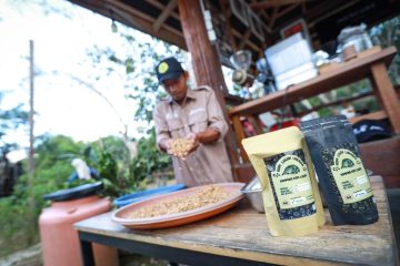 Eduwisata Kopi Luwak Dukung Perekonomian  Lokal dan Konservasi di Marangkayu