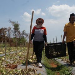 Program Eco-Edufarming PHE WMO Bangun Kemandirian Pesisir Bangkalan