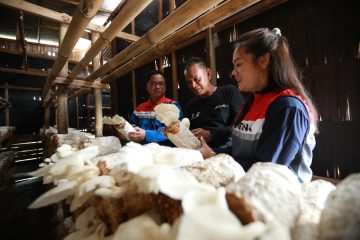 PHKT Dukung Kemandirian Pangan Lewat Pemanfaatan Serbuk Kayu untuk Jamur di Serambi Nusantara